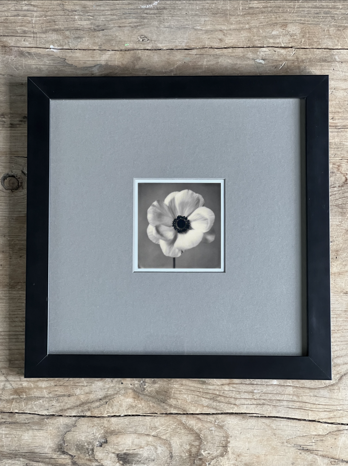 Screen Shot 2024-07-26 at 10.54.34 AM.png