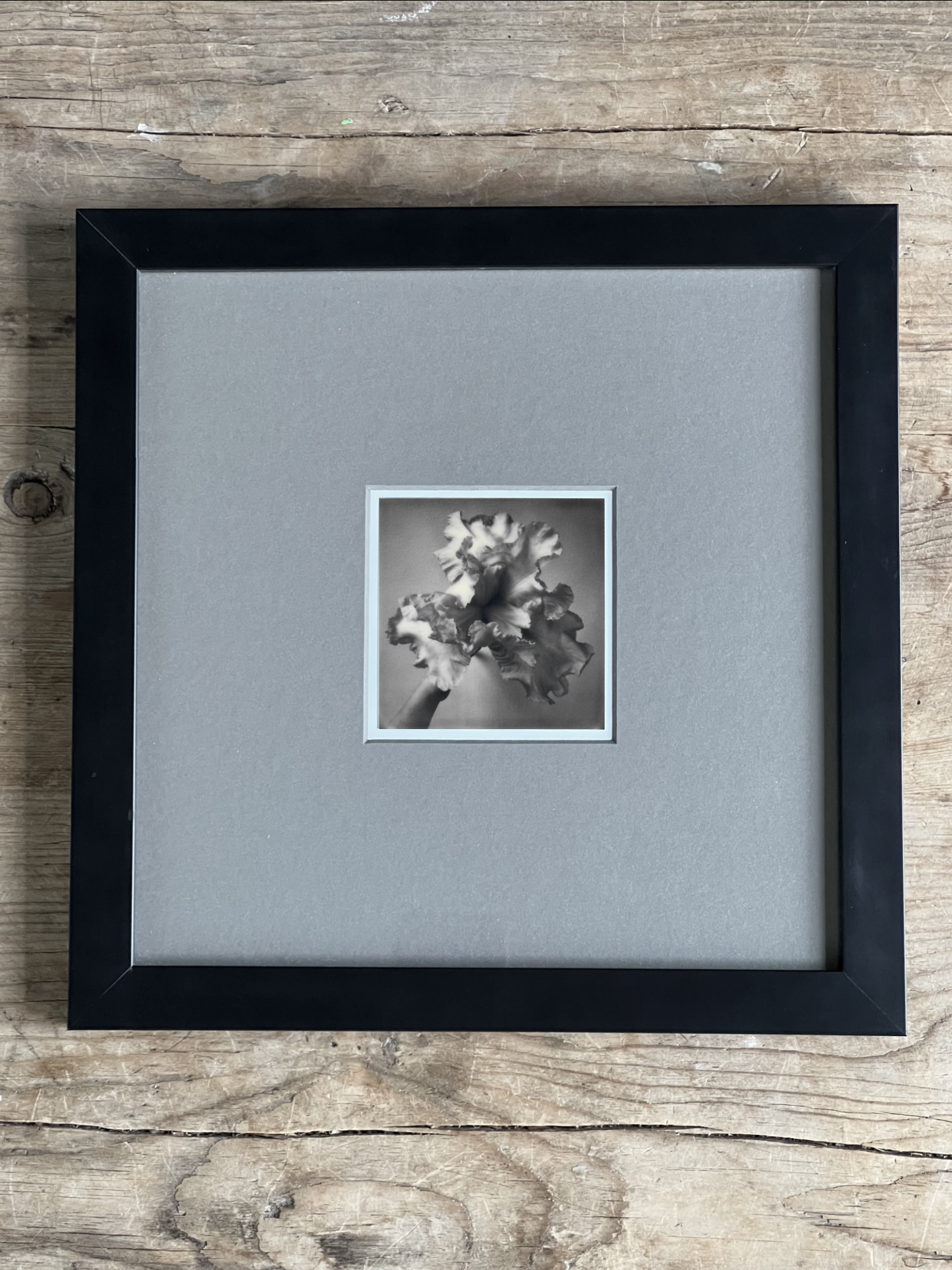 Screen Shot 2024-07-26 at 10.48.44 AM.png