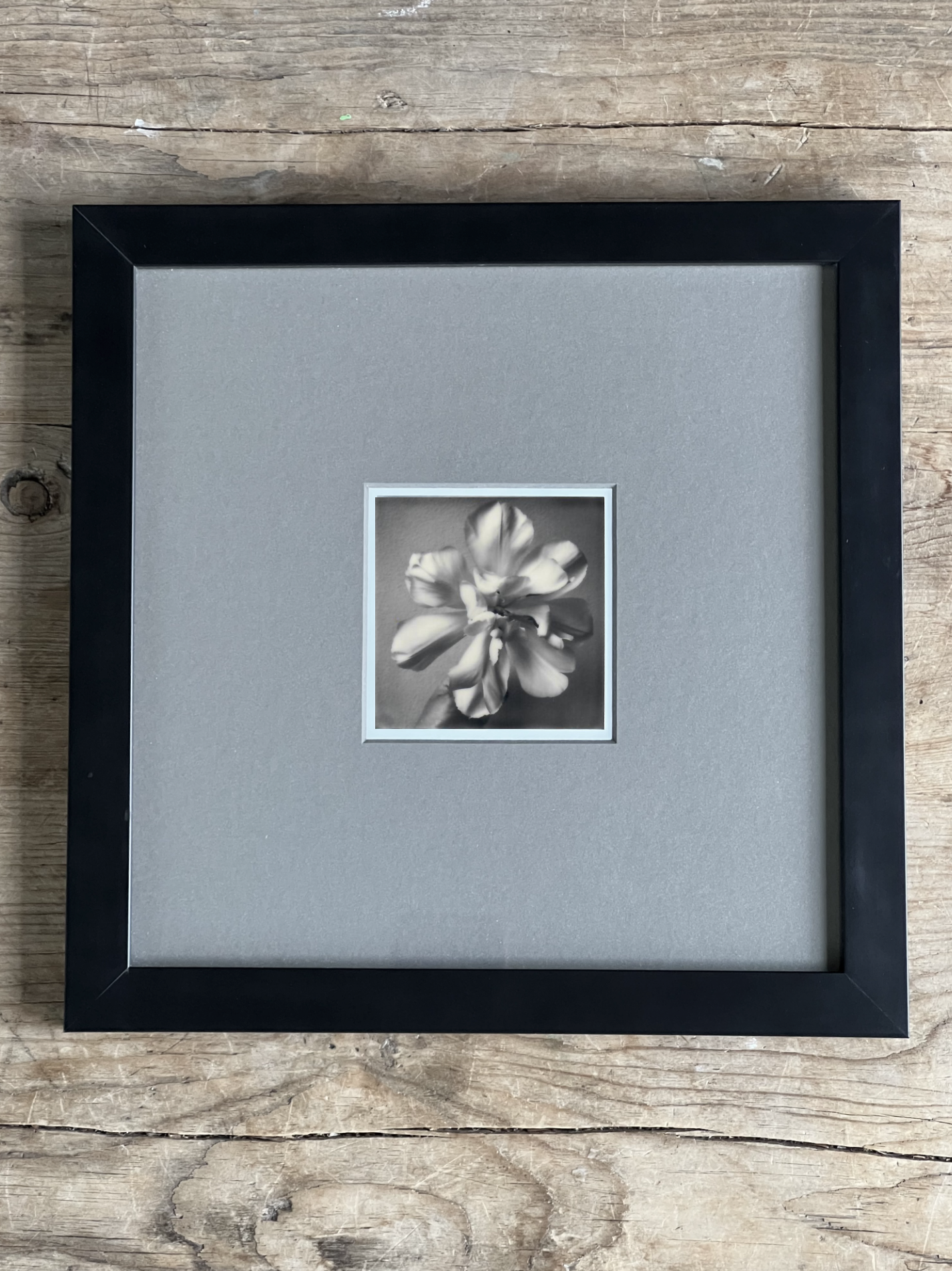 Screen Shot 2024-07-26 at 11.03.17 AM.png