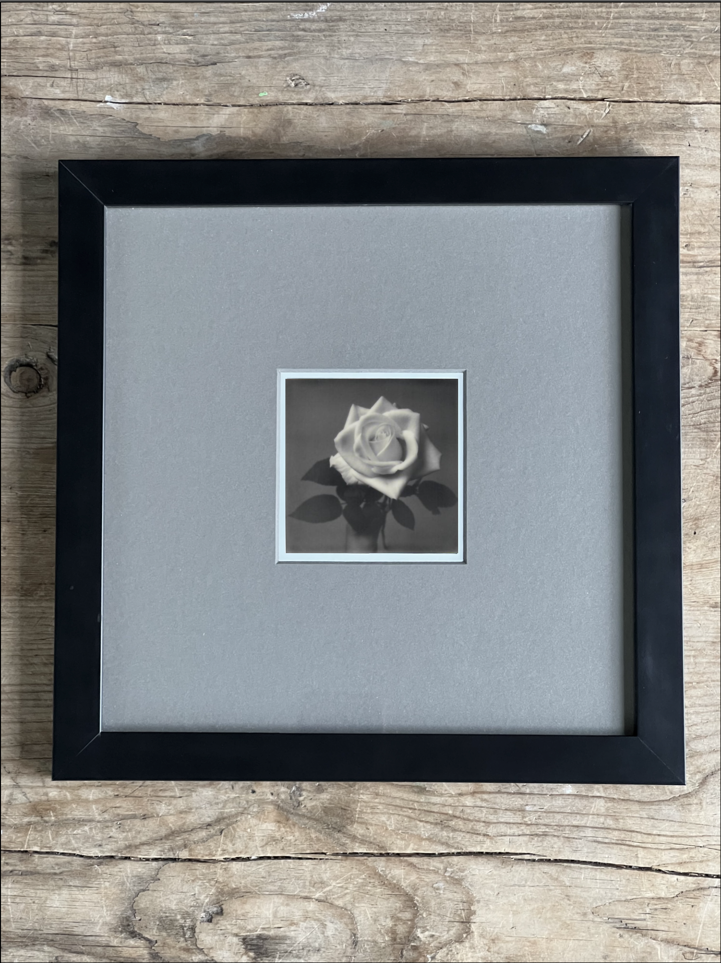 Screen Shot 2024-07-26 at 10.31.31 AM.png