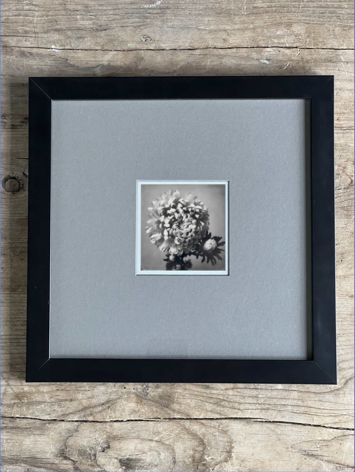 Screen Shot 2024-07-26 at 10.39.54 AM.png