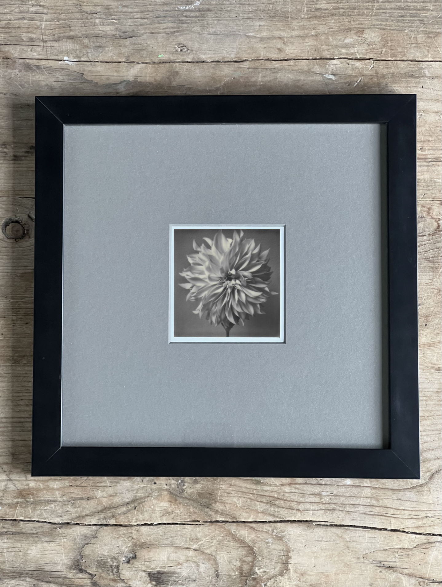 Screen Shot 2024-07-26 at 10.28.40 AM.png