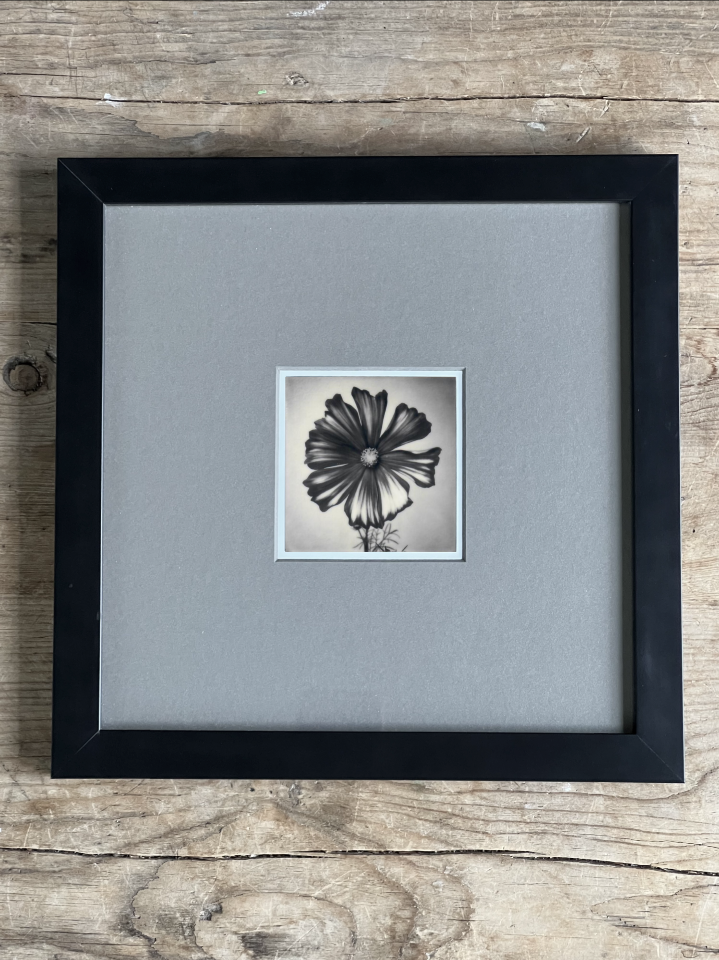 Screen Shot 2024-07-26 at 10.40.57 AM.png