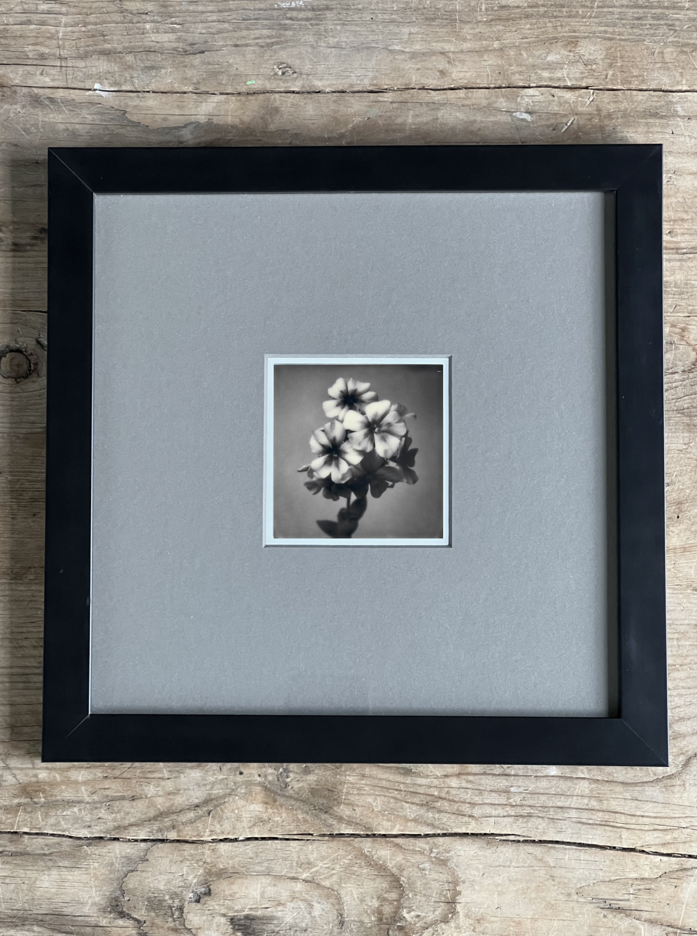 Screen Shot 2024-07-26 at 12.35.48 PM.png