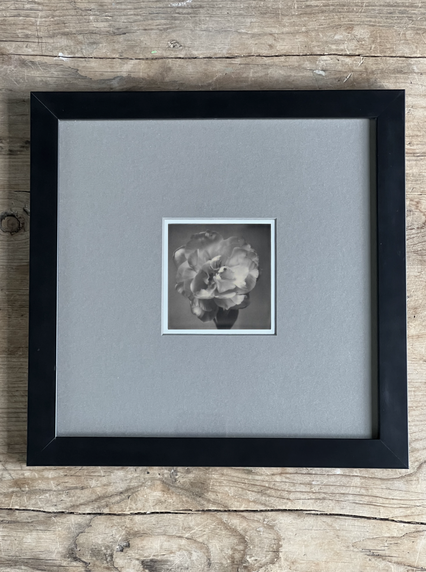 Screen Shot 2024-07-26 at 12.37.02 PM.png