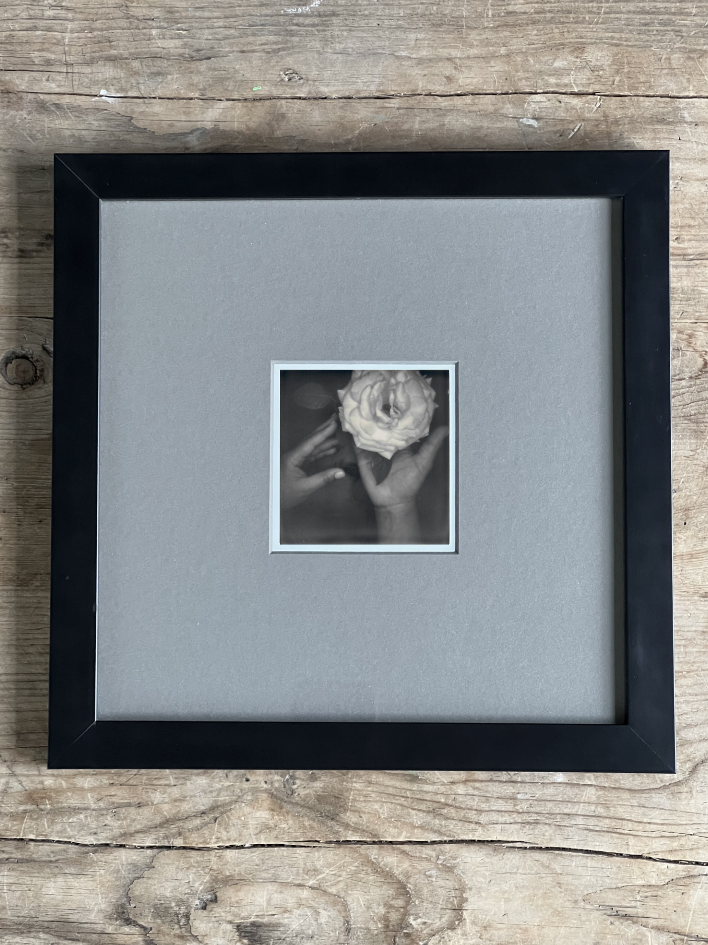 Screen Shot 2024-07-26 at 12.40.11 PM.png