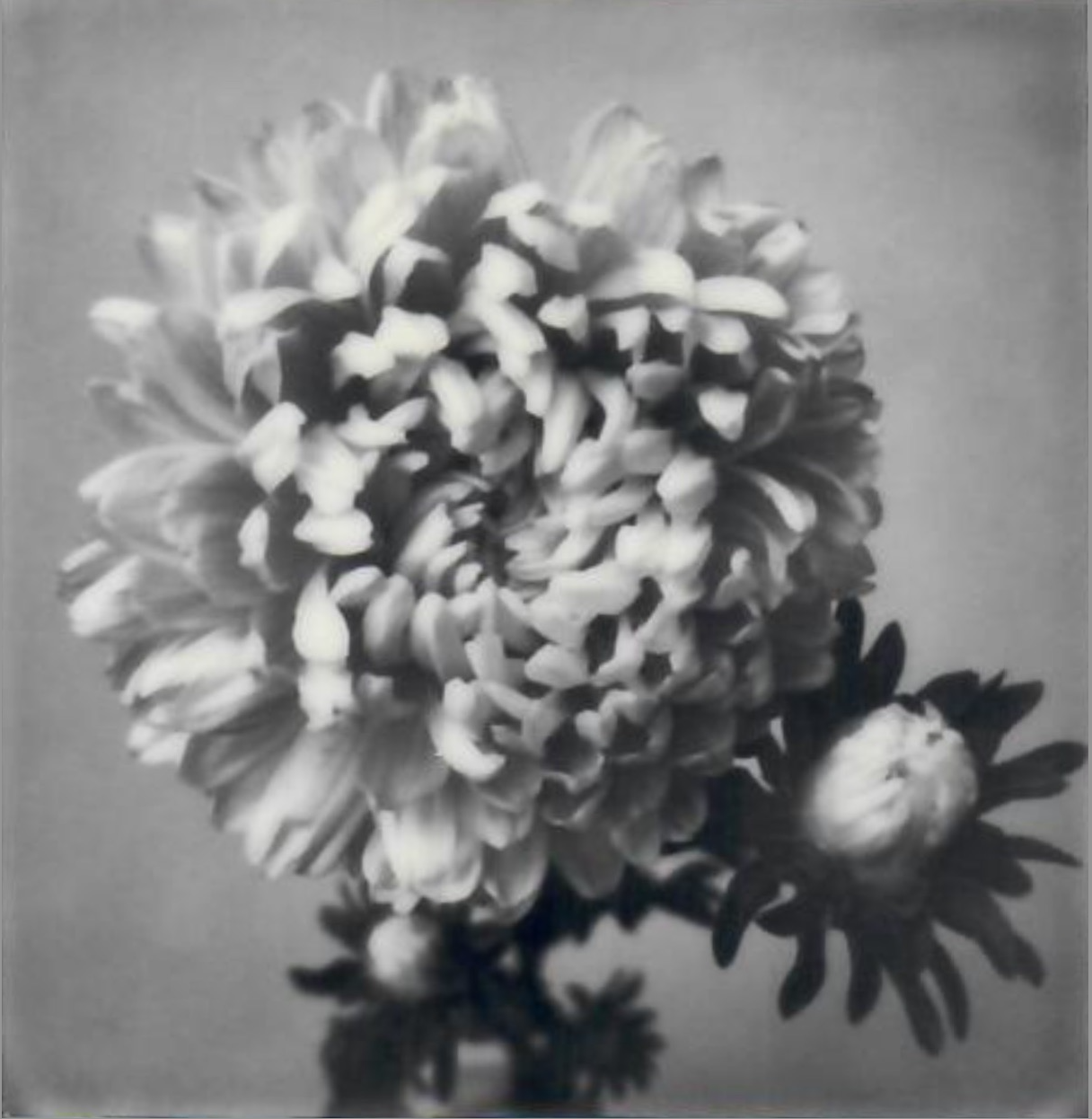 Screen Shot 2024-07-26 at 11.26.25 AM.png