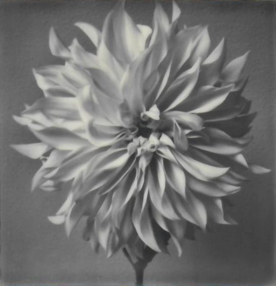 Screen Shot 2024-07-25 at 11.03.29 AM.jpeg