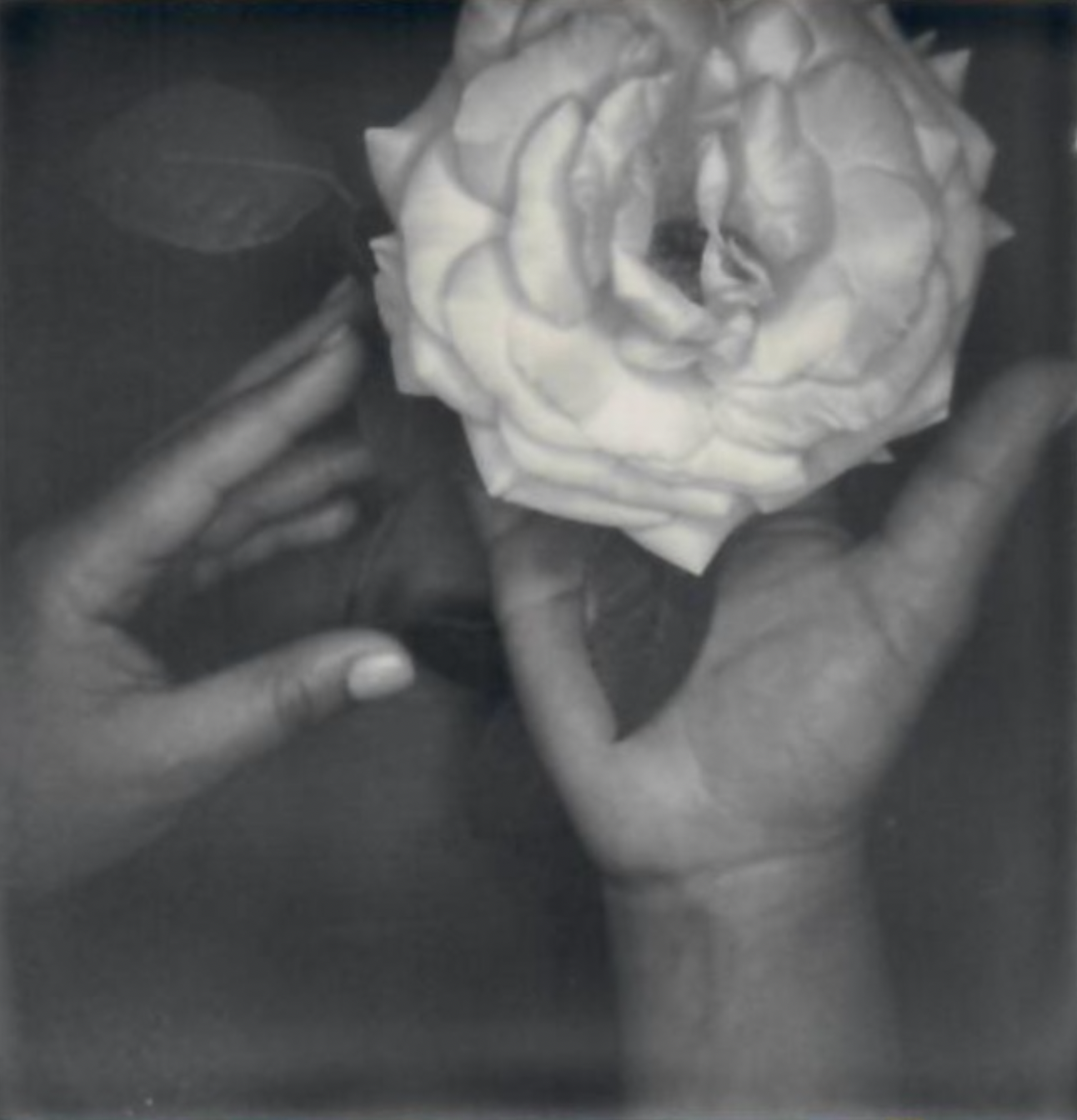 Screen Shot 2024-07-26 at 4.49.58 PM.png