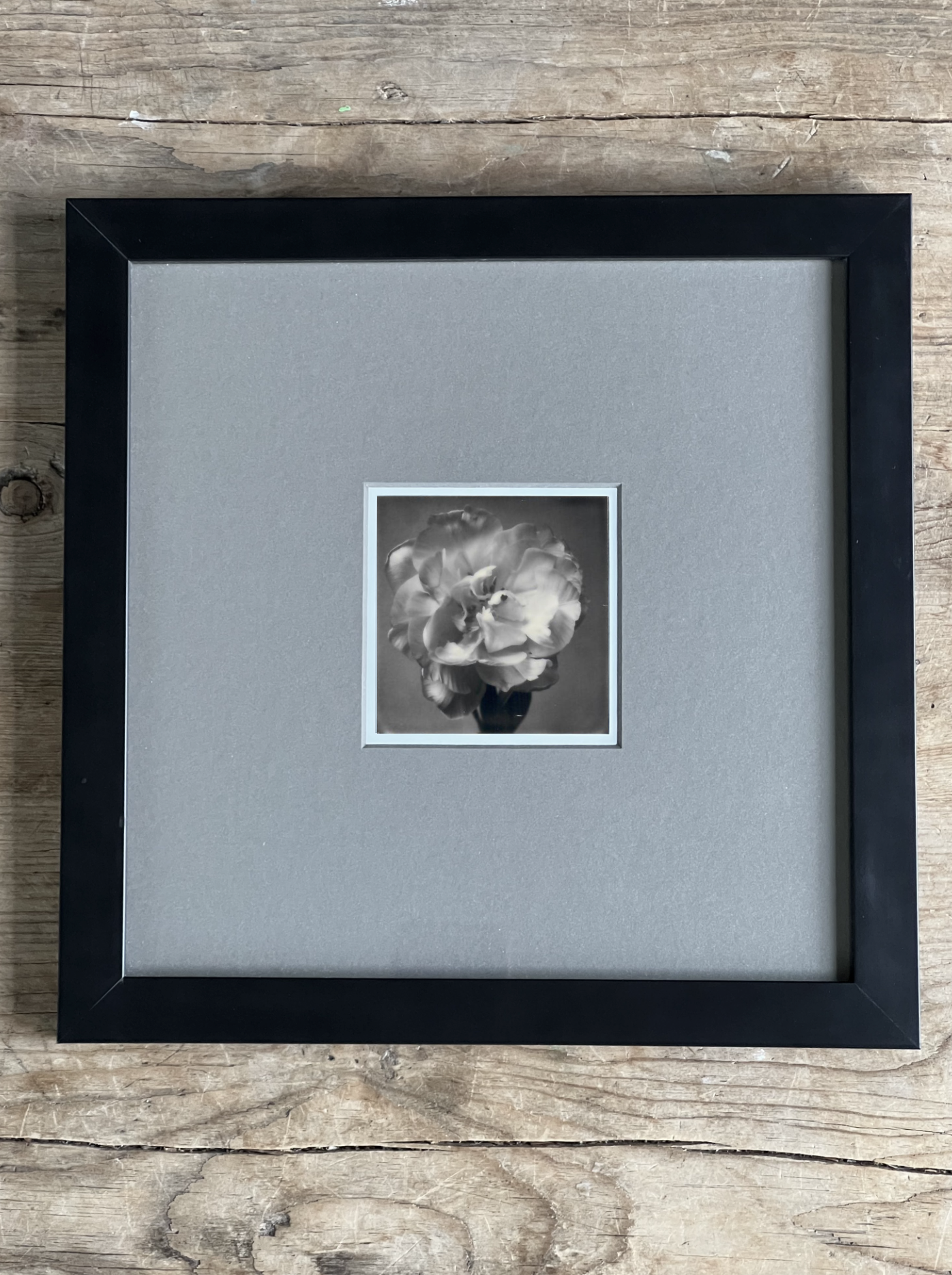 Screen Shot 2024-07-31 at 12.08.24 AM.png