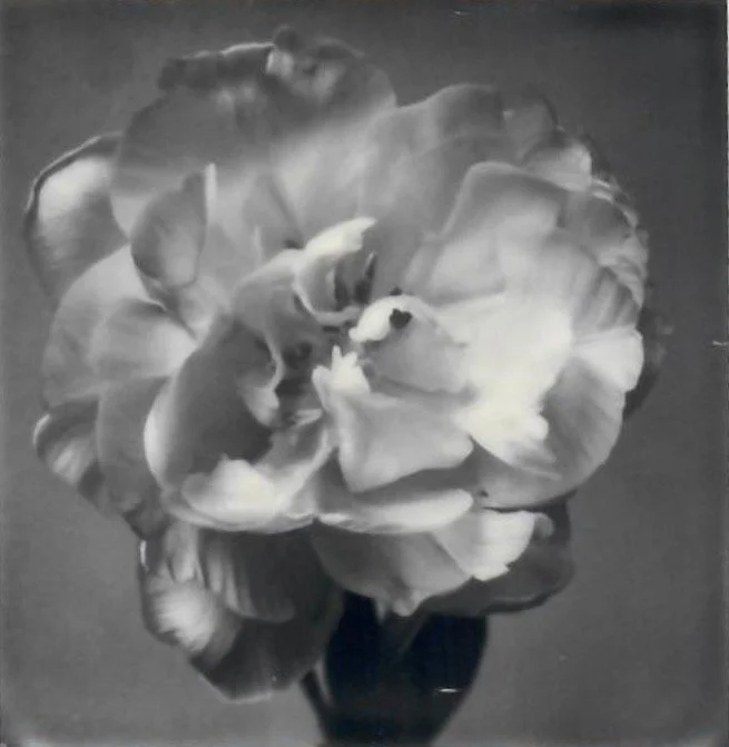 Screen Shot 2024-07-30 at 11.19.40 PM.jpeg