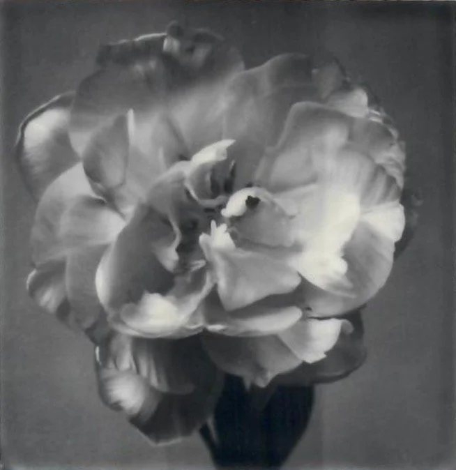 Screen Shot 2024-07-30 at 11.20.37 PM.jpeg