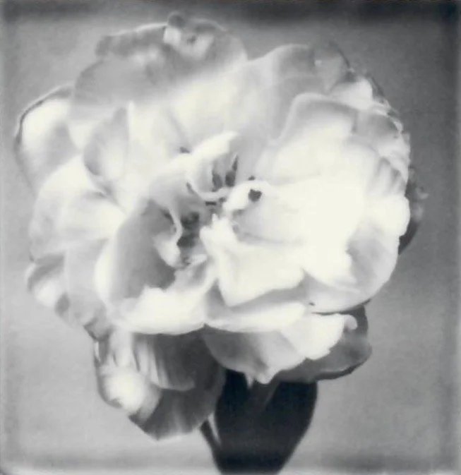 Screen Shot 2024-07-30 at 11.20.58 PM.jpeg