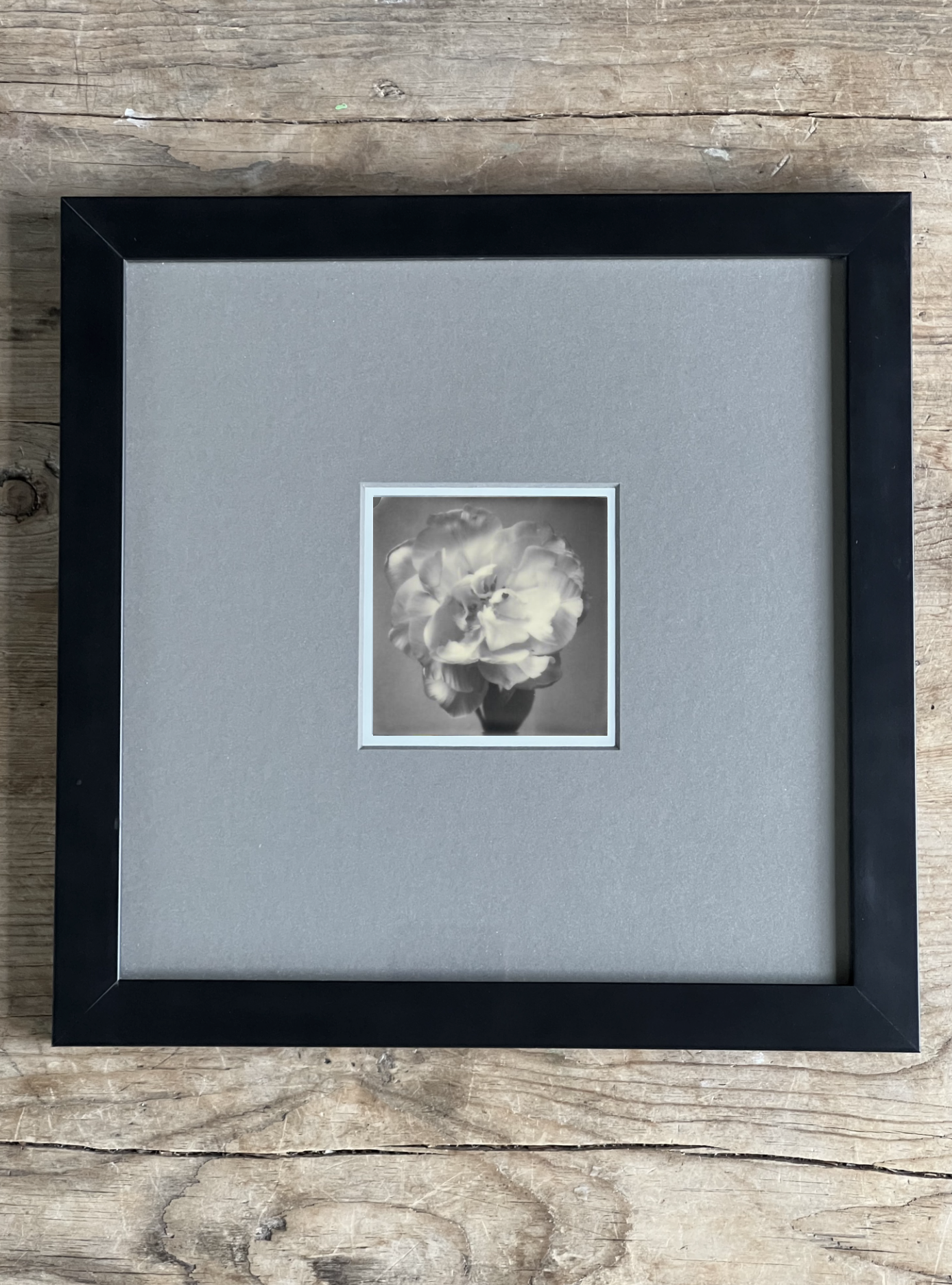 Screen Shot 2024-07-31 at 12.14.16 AM.png