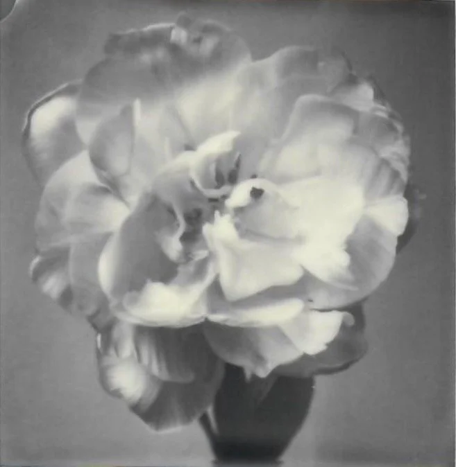 Screen Shot 2024-07-30 at 11.20.48 PM.jpeg