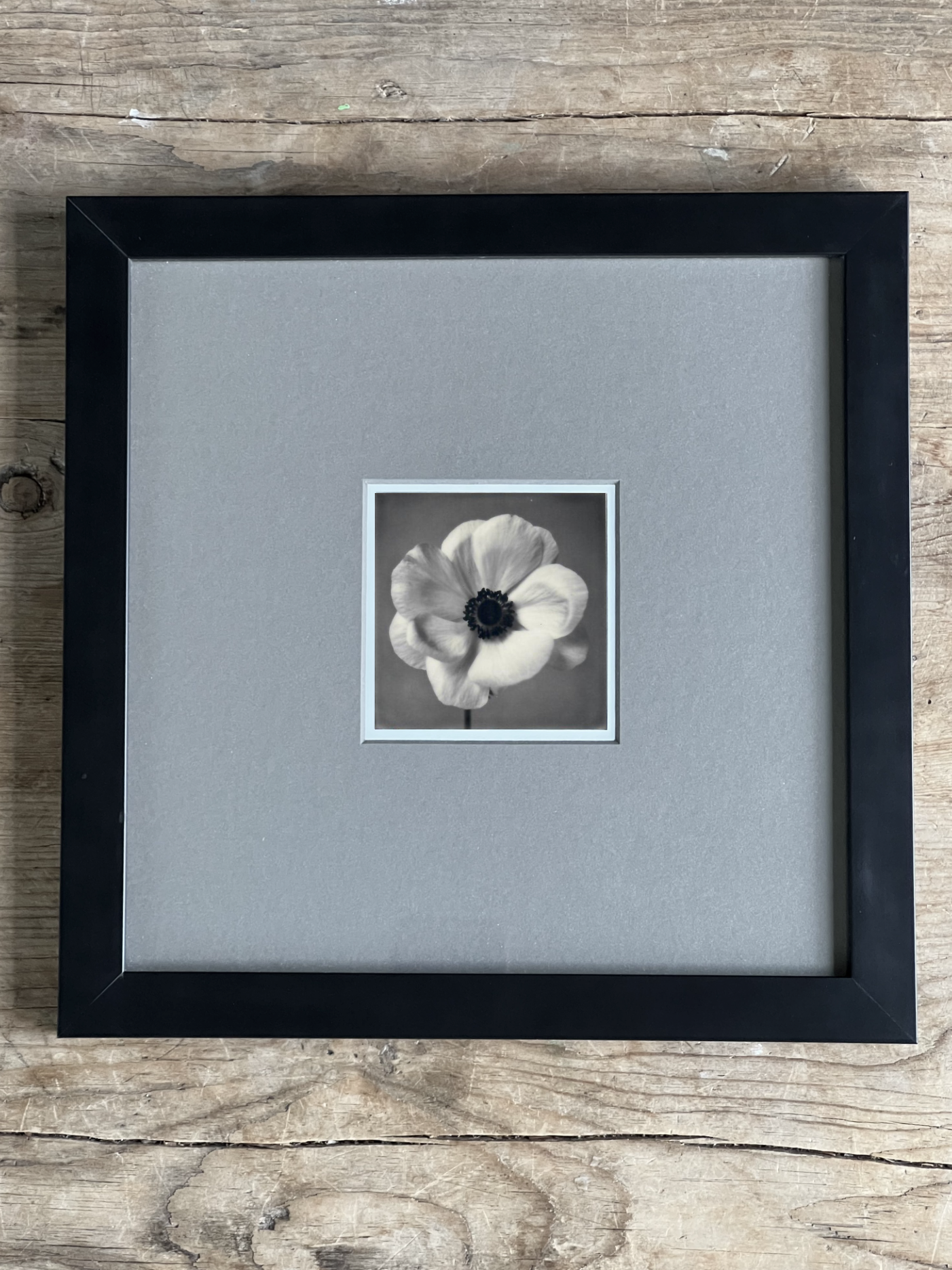 Screen Shot 2024-07-31 at 1.07.59 AM.png