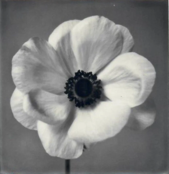 Screen Shot 2024-07-30 at 11.18.47 PM.jpeg