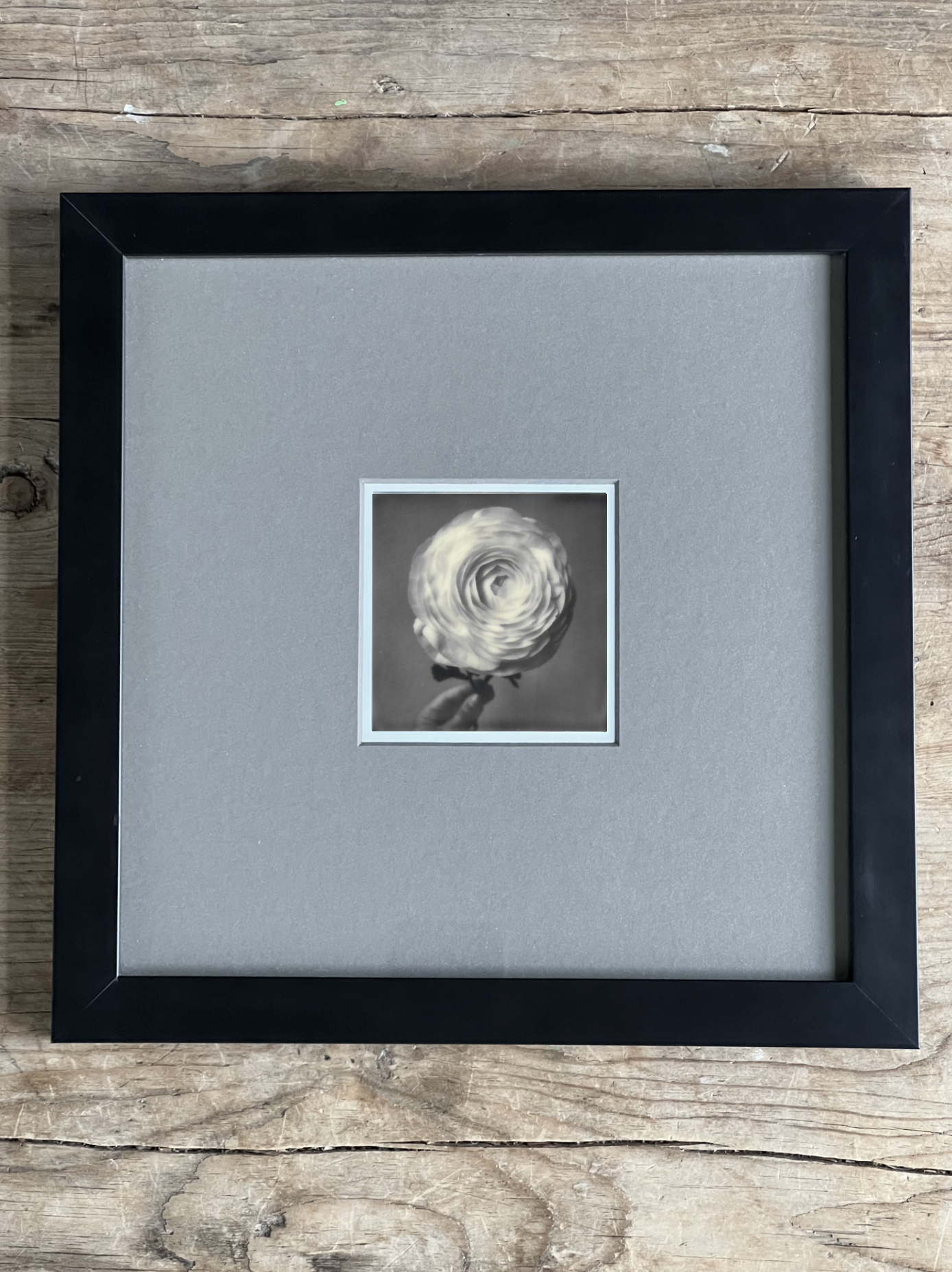 Screen Shot 2024-07-31 at 12.55.35 AM.png