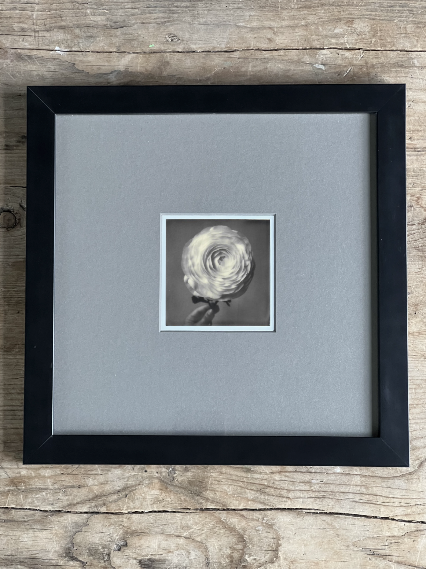 Screen Shot 2024-07-31 at 12.57.21 AM.png