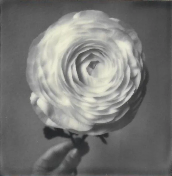 Screen Shot 2024-07-30 at 11.21.33 PM.jpeg