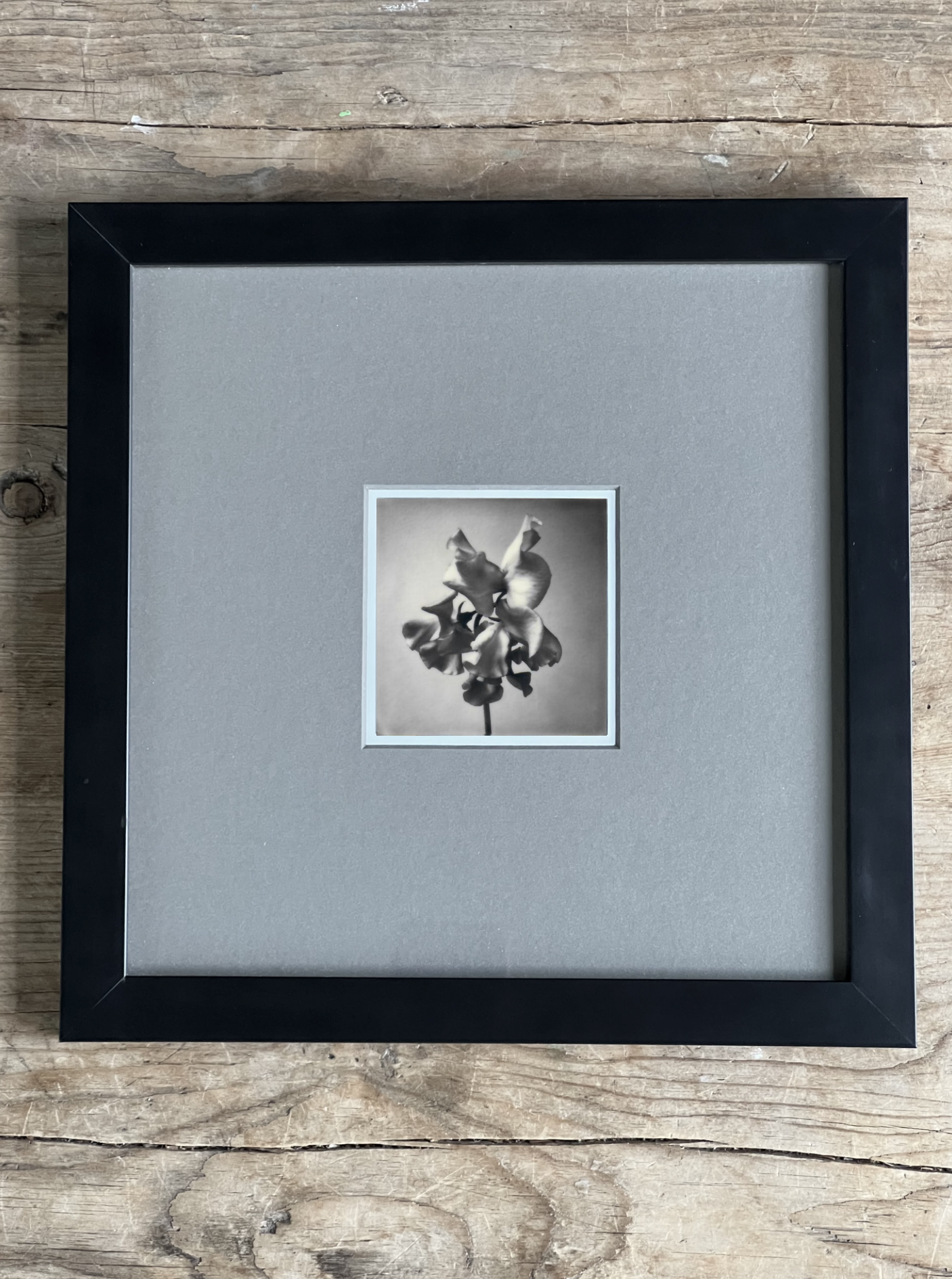 Screen Shot 2024-07-31 at 12.37.30 AM.png