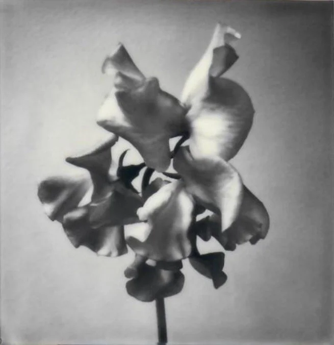 Screen Shot 2024-07-30 at 11.18.24 PM.jpeg