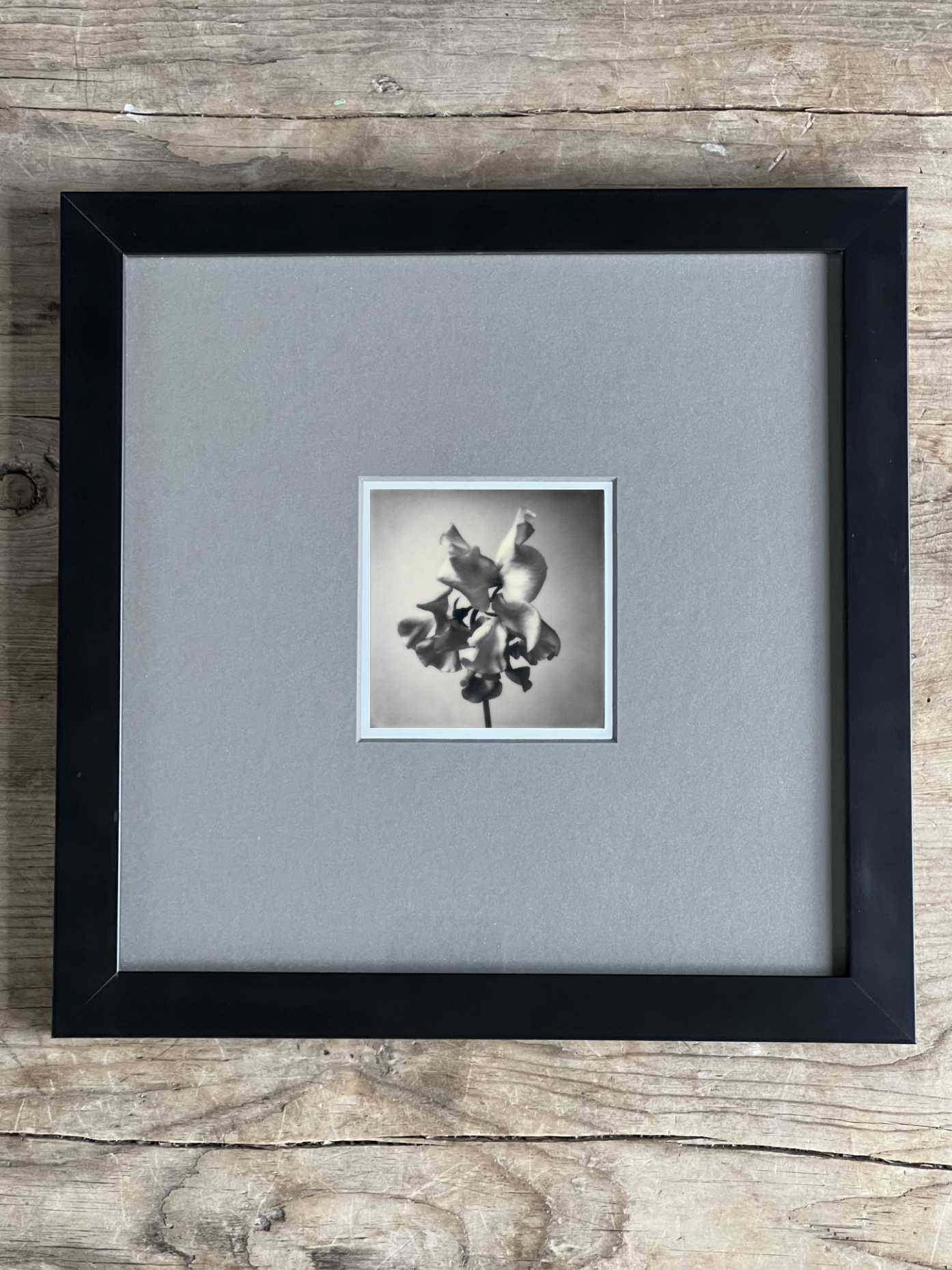 Screen Shot 2024-07-31 at 12.34.43 AM.png