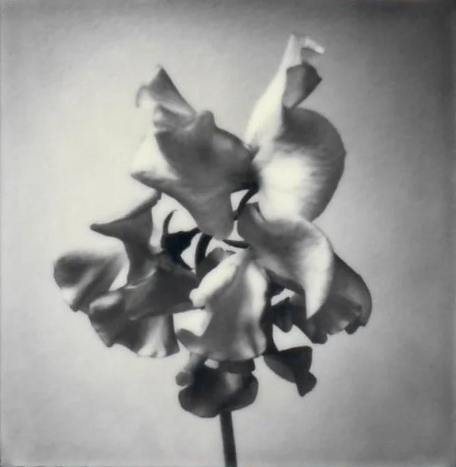 Screen Shot 2024-07-30 at 11.18.40 PM.jpeg