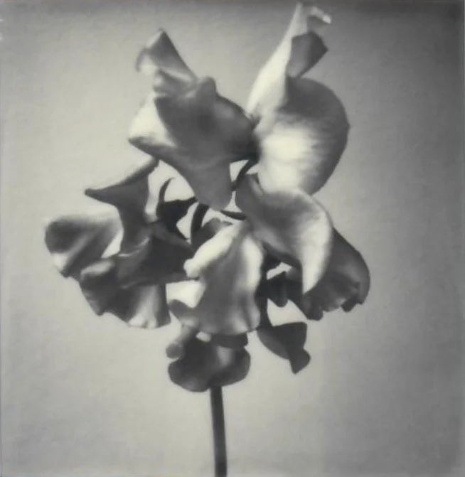 Screen Shot 2024-07-30 at 11.18.33 PM.jpeg