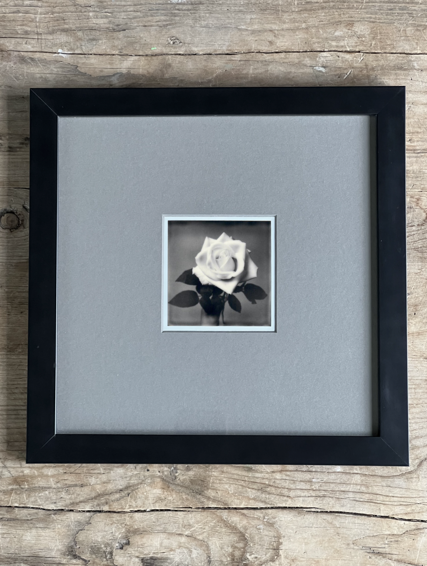 Screen Shot 2024-07-31 at 12.27.53 AM.png