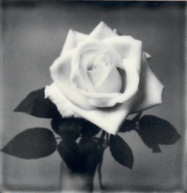 Screen Shot 2024-07-30 at 11.19.29 PM.jpeg