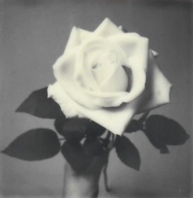 Screen Shot 2024-07-30 at 11.19.20 PM.jpeg