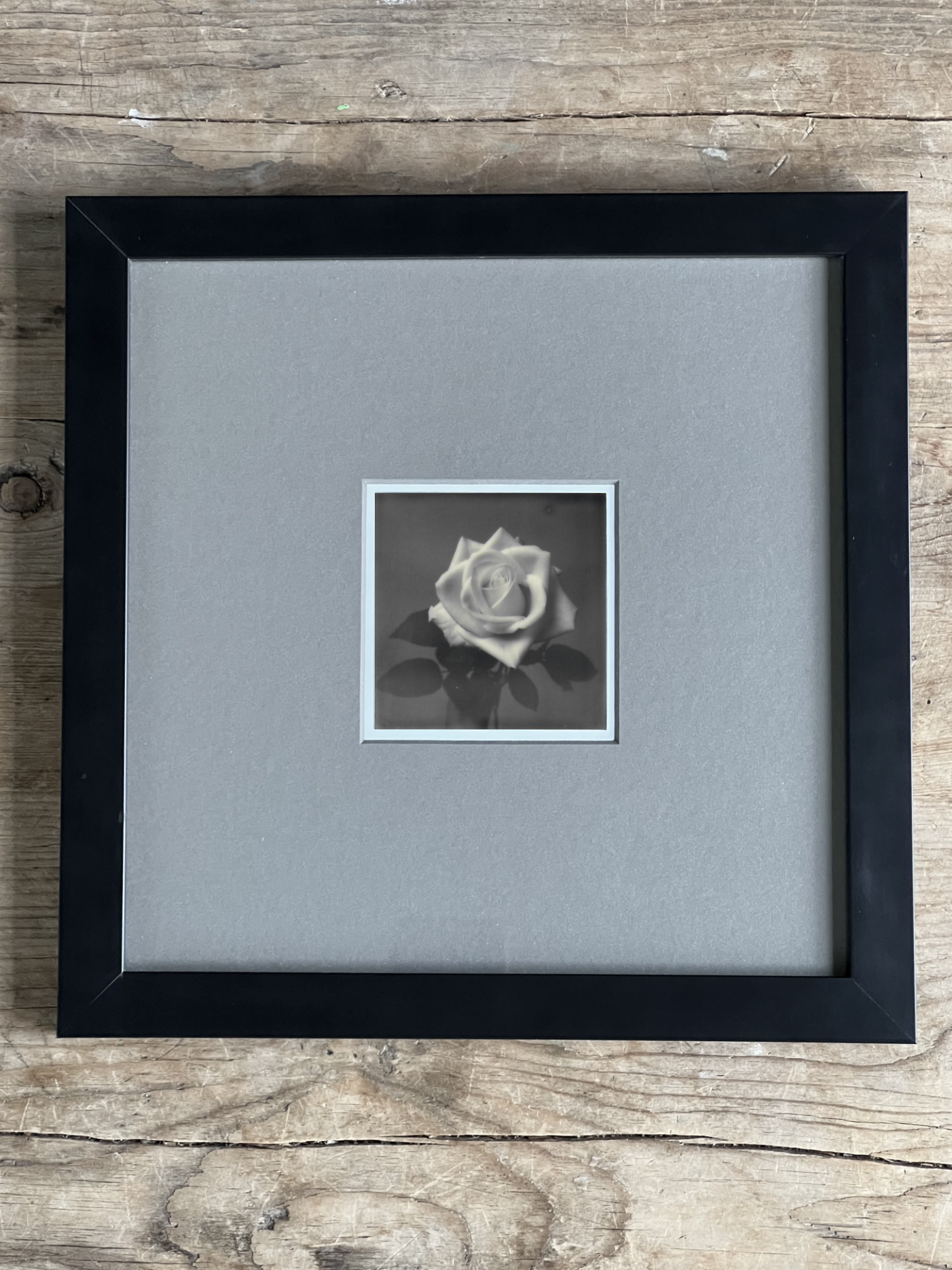 Screen Shot 2024-07-31 at 12.23.34 AM.png