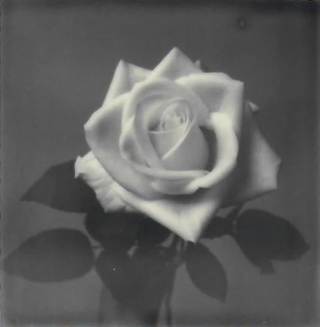 Screen Shot 2024-07-30 at 11.19.10 PM.jpeg