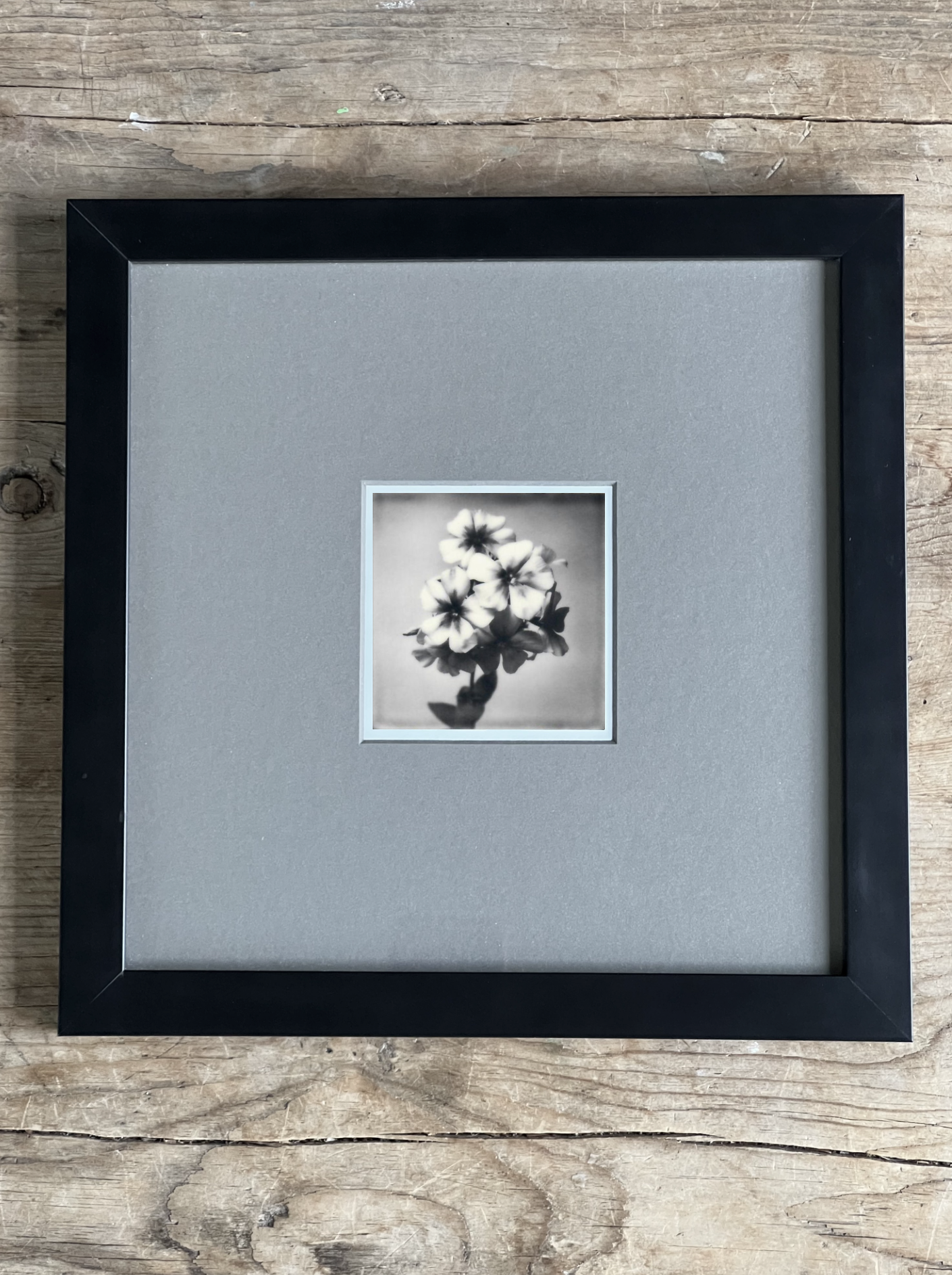 Screen Shot 2024-07-31 at 12.04.26 AM.png