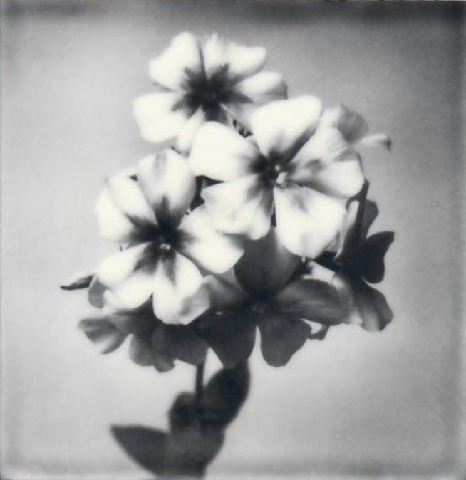 Screen Shot 2024-07-30 at 11.18.13 PM.jpeg