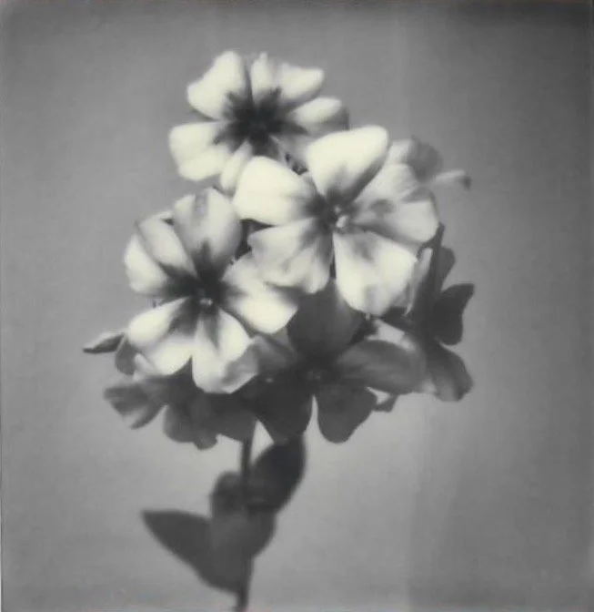 Screen Shot 2024-07-30 at 11.17.32 PM.jpeg