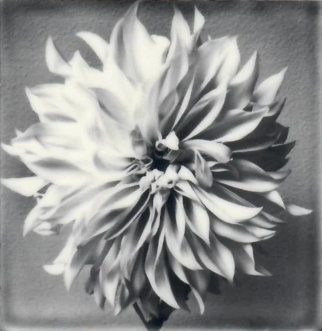 Screen Shot 2024-07-30 at 11.19.03 PM.jpeg