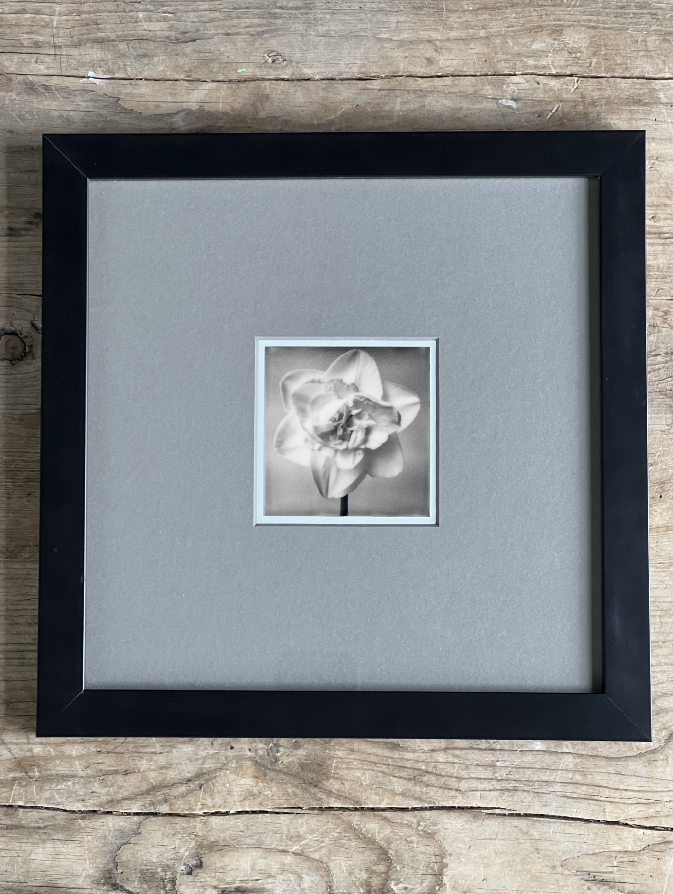 Screen Shot 2024-07-31 at 11.31.20 PM.png