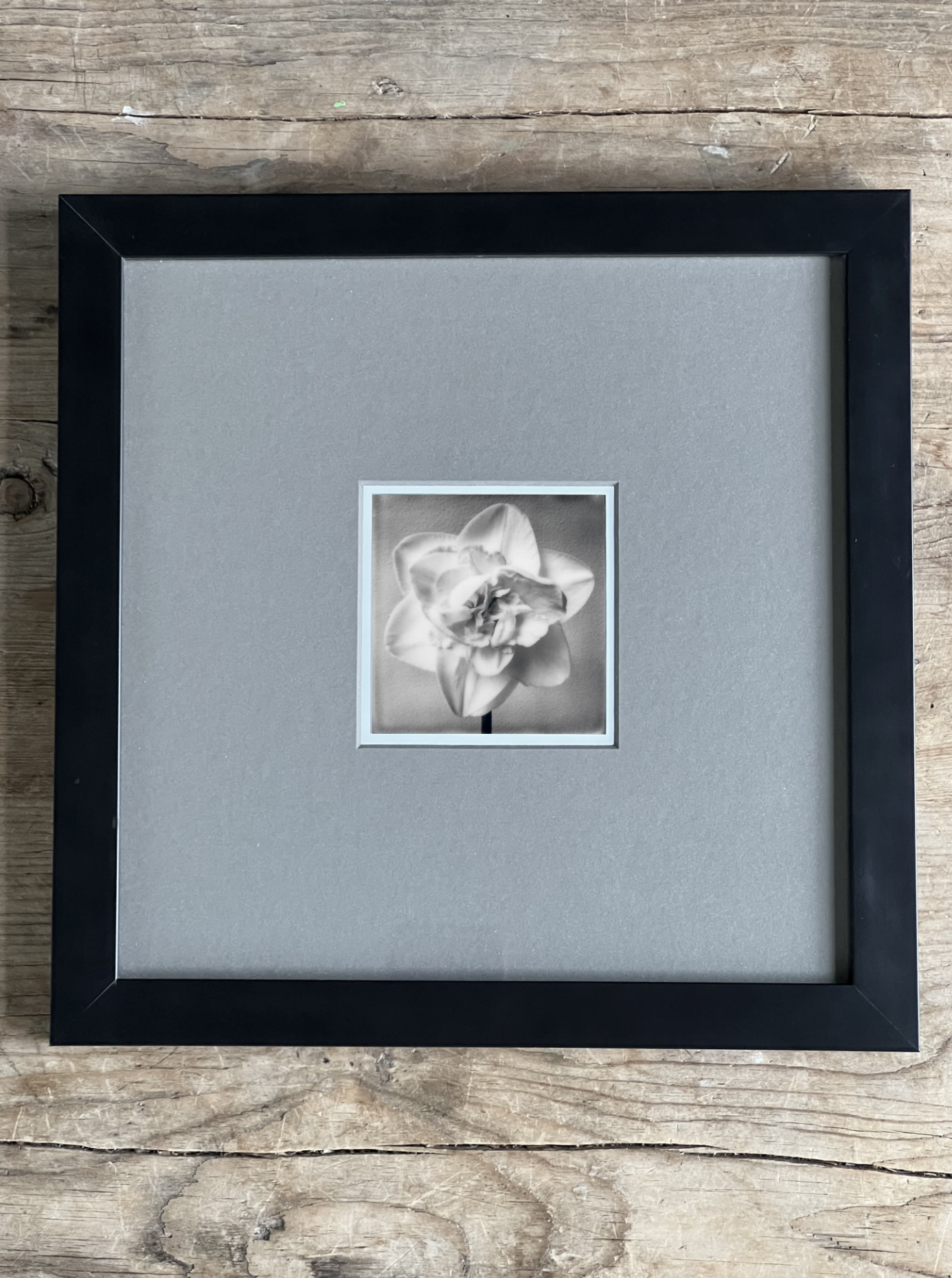 Screen Shot 2024-07-31 at 11.33.29 PM.png