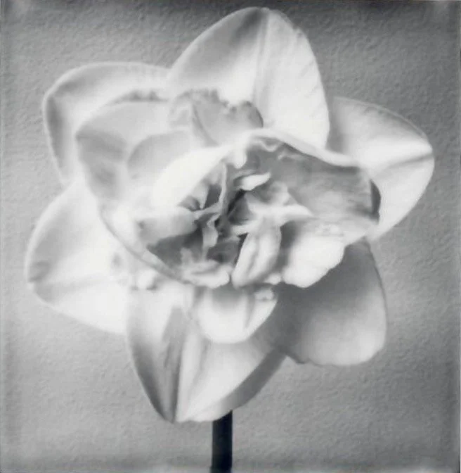 Screen Shot 2024-07-31 at 10.42.34 PM.jpeg