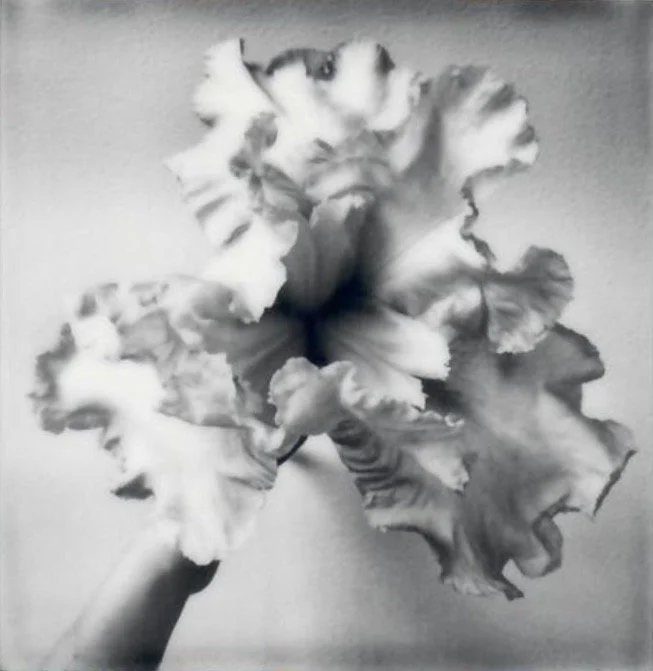 Screen Shot 2024-07-31 at 10.42.51 PM.jpeg