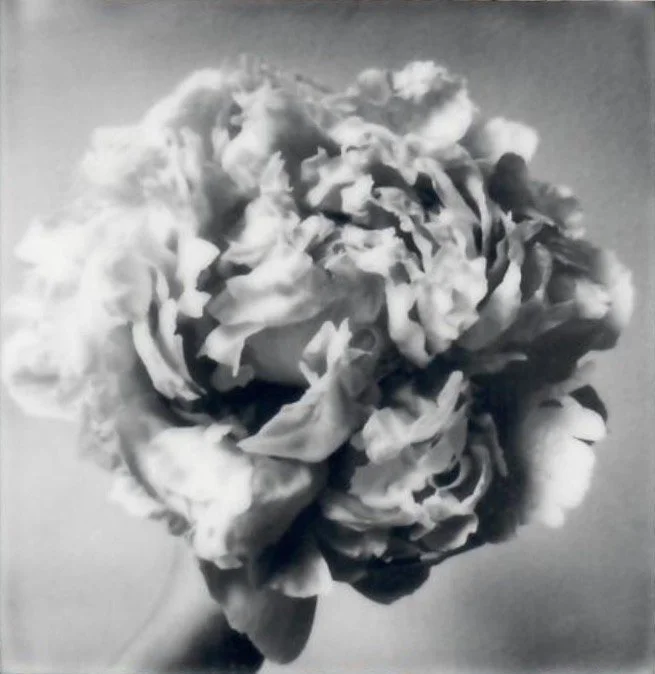 Screen Shot 2024-07-31 at 10.42.20 PM.jpeg