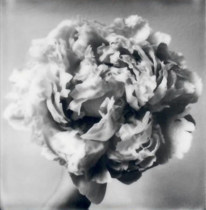 Screen Shot 2024-07-31 at 10.42.27 PM.jpeg