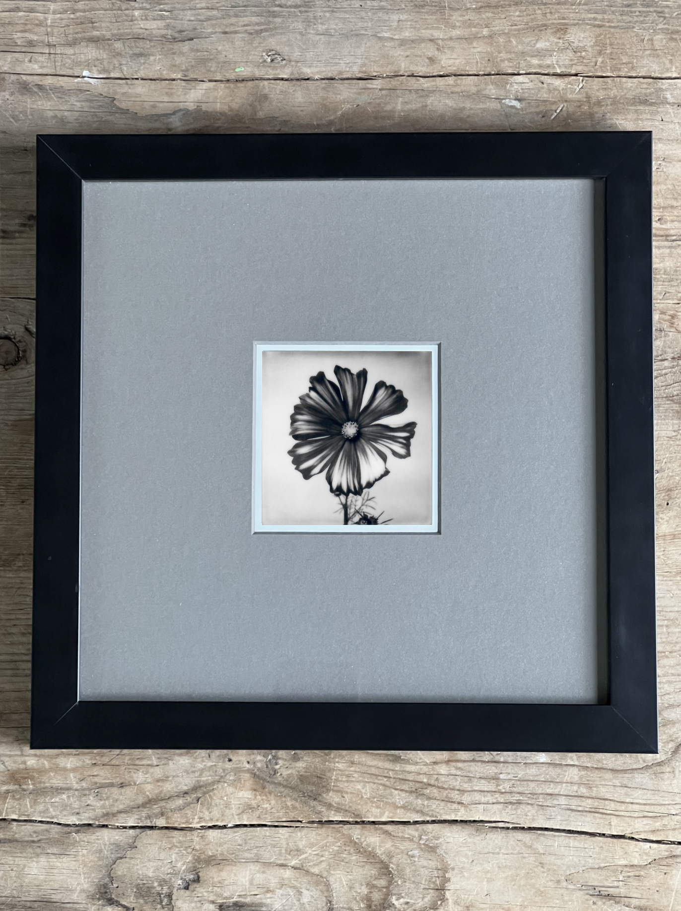 Screen Shot 2024-07-31 at 11.51.06 PM.png