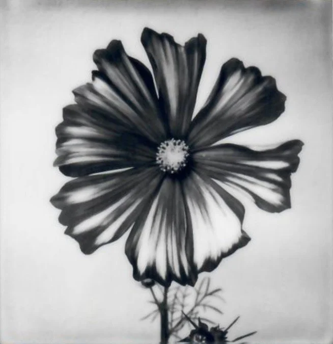 Screen Shot 2024-07-31 at 10.41.41 PM.jpeg