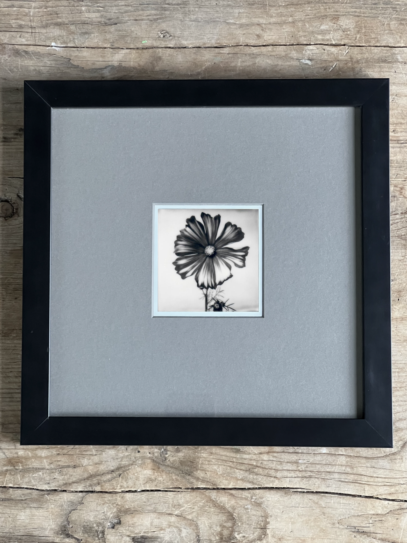 Screen Shot 2024-07-31 at 11.48.17 PM.png