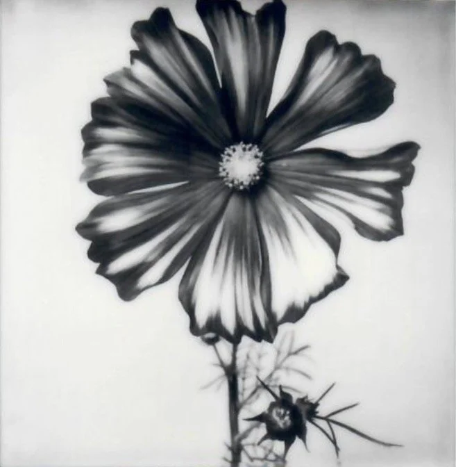 Screen Shot 2024-07-31 at 10.41.50 PM.jpeg