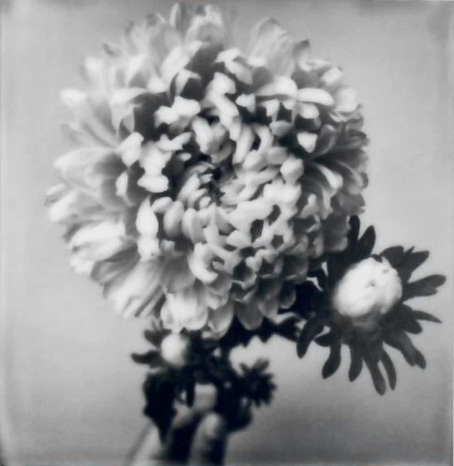 Screen Shot 2024-07-31 at 10.42.42 PM.jpeg