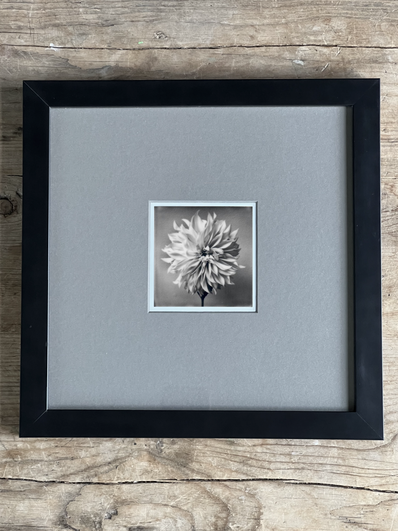 Screen Shot 2024-07-31 at 11.59.07 PM.png